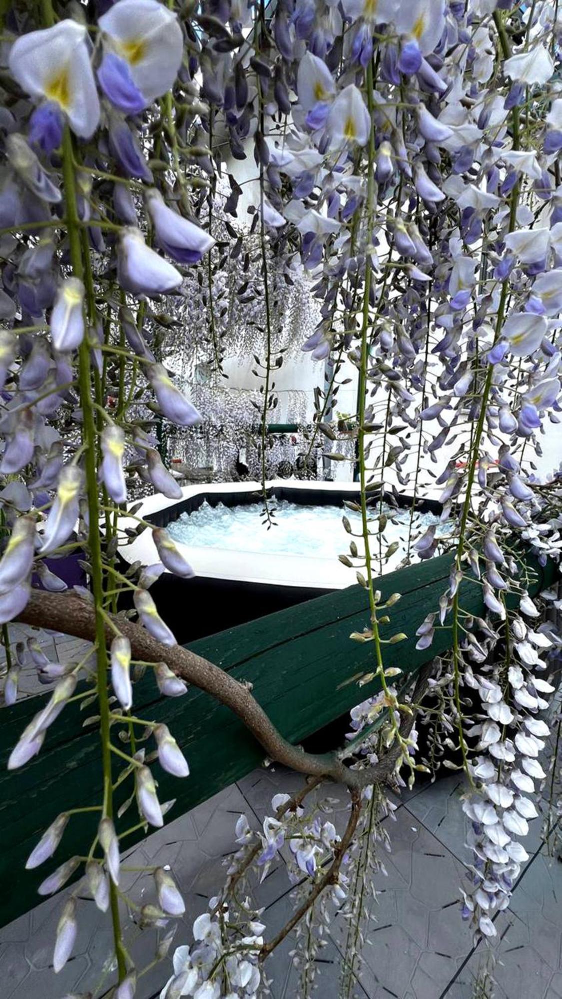 San Benedetto Del Querceto Gan Eden B&B מראה חיצוני תמונה